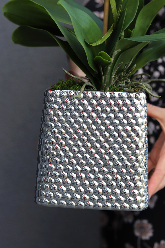 Perona, storczyk w srebrnej donicy wys.64cm