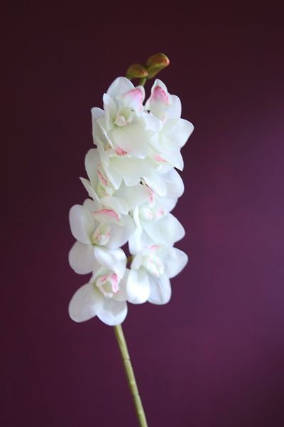 gałązka kwiatowa, gumowy storczyk / orchidea Cymbydium Krem, dł.79cm