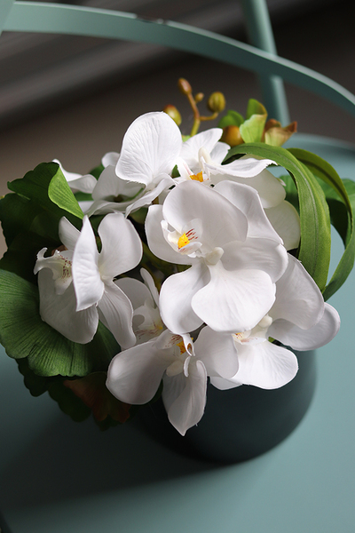 Black Degaro, kompozycja z orchideą w czarnej donicy, wys.24cm