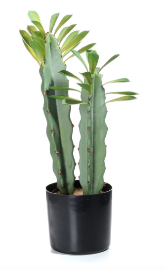 Monico, kaktus, wysokiej jakości sztuczna roślina, wys.44cm