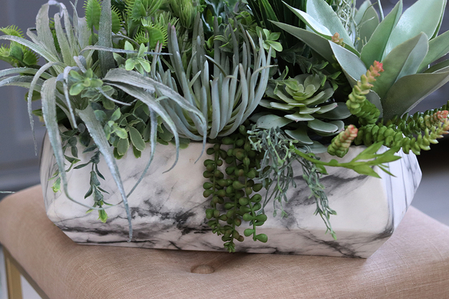 Marbello Big, efektowna kompozycja sukulenty, wys.55cm