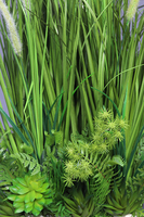 Lodda, nowoczesna kompozycja traw i sukulentów, wys.78cm