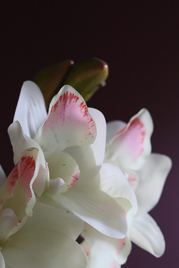 gałązka kwiatowa, gumowy storczyk / orchidea Cymbydium Krem, dł.79cm