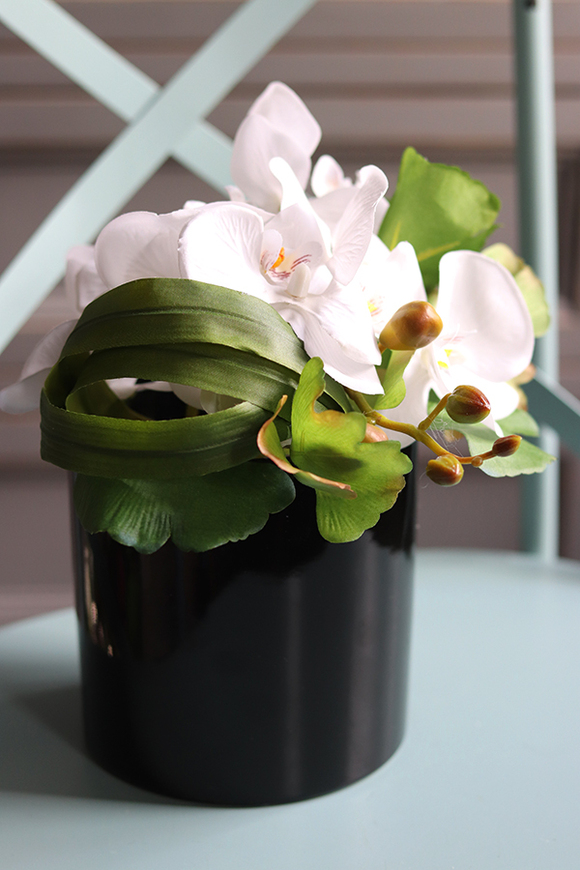 Black Degaro, kompozycja z orchideą w czarnej donicy, wys.24cm