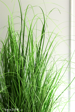 Belito Saute, trawa sztuczna w gąbce do twojej donicy, wys.110cm