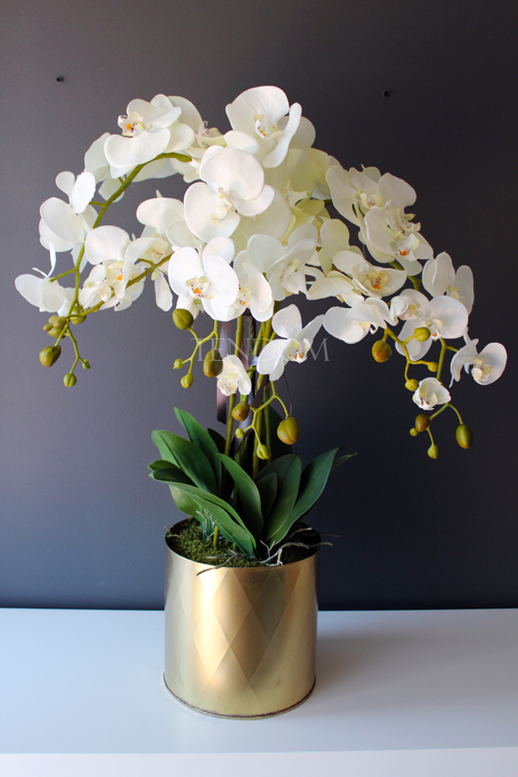 sztuczny storczyk Golden Dreams, wys.77cm średni