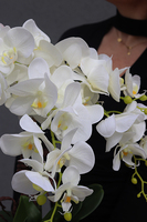 gumowy sztuczny storczyk Cinderella Biel, wys.60cm