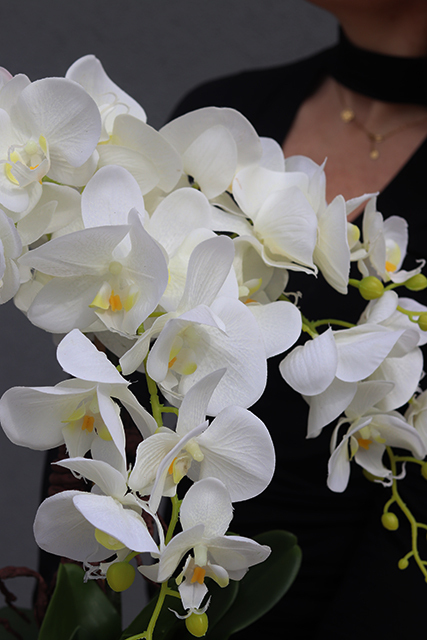 gumowy sztuczny storczyk Cinderella Biel, wys.60cm