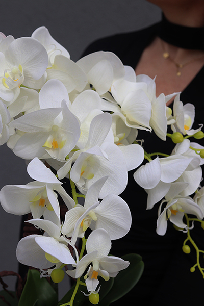 gumowy sztuczny storczyk Cinderella Biel, wys.60cm