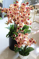 Mediolana Granada, duży sztuczny storczyk, wys.90cm