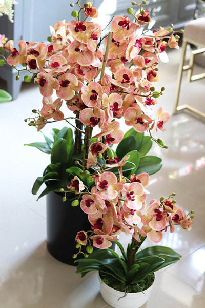 Mediolana Granada, duży sztuczny storczyk, wys.90cm