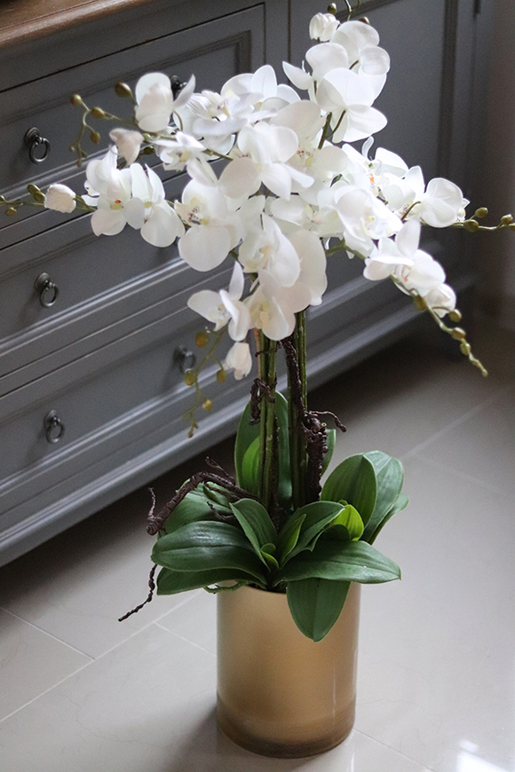 elegancki storczyk w szklanej donicy, Złota Lejdi, wys.90cm