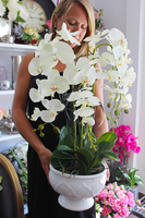 cudowny storczyk Ellana w pięknej białej donicy, wys.70cm