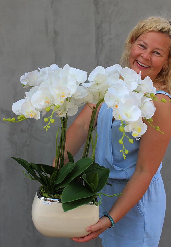 Glamour storczyk w ceramicznej donicy ecru, wys.51cm