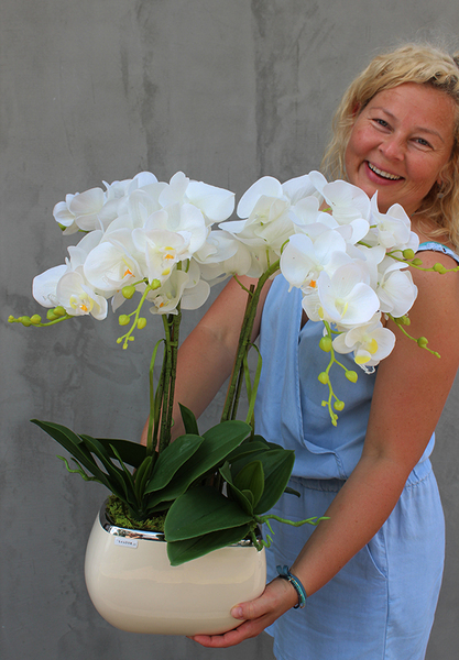 Glamour storczyk w ceramicznej donicy ecru, wys.51cm