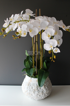 bardzo duży biały storczyk Weronika wys.80cm 