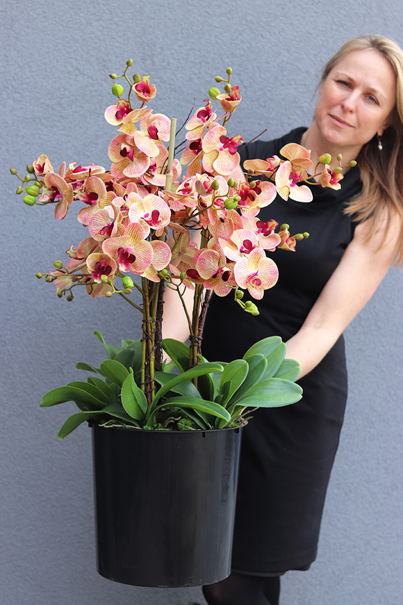 Mediolana Granada, duży sztuczny storczyk, wys.90cm