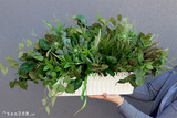 Green Metodio, kompozycja z liści i sukulentów, dł.80cm