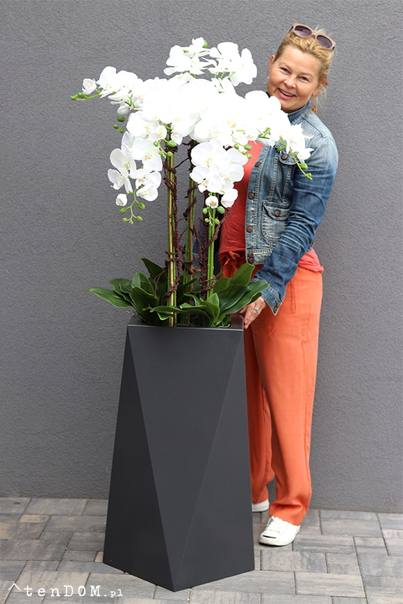 Nevis Antracyt Grande 2 storczyk w nowoczesnej donicy, wys.155cm