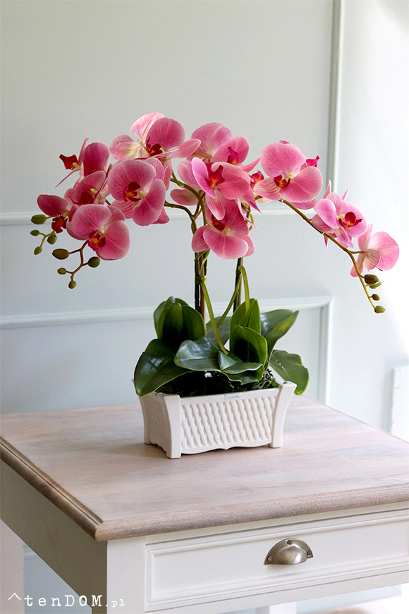 Nemito Temilana, różowy storczyk w podłużnej donicy, wys.53cm 