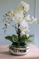 Glass Pompadour Silver, efektowny storczyk w srebrnej misie, wys.58cm