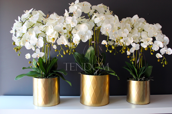 sztuczny storczyk Golden Dreams, wys.77cm średni