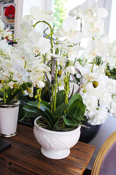 cudowny storczyk Ellana w pięknej białej donicy, wys.70cm