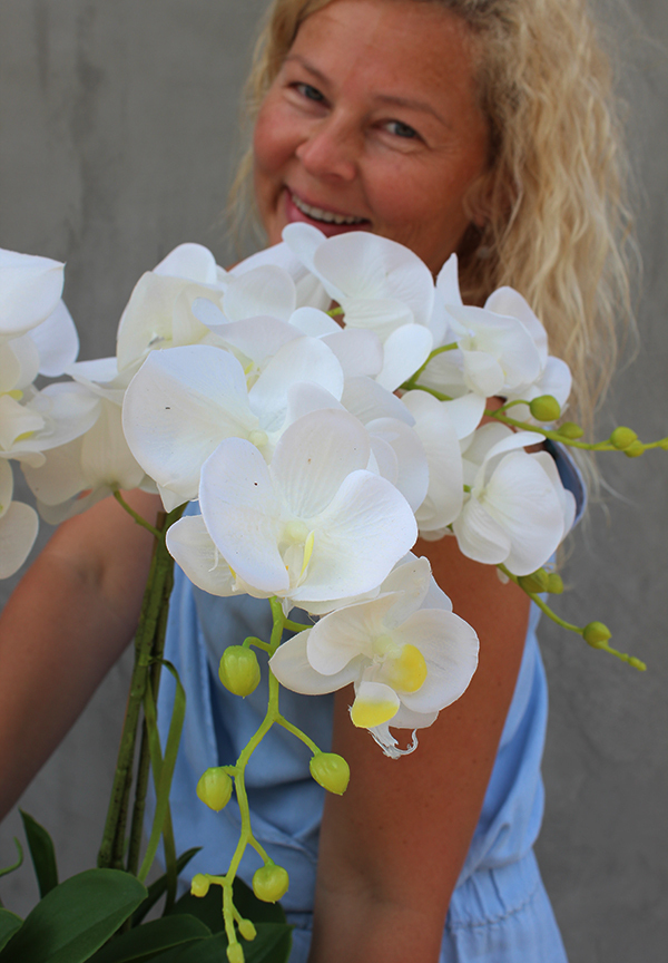 Glamour storczyk w ceramicznej donicy ecru, wys.51cm