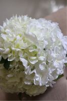 Kelona, kompozycja z hortensji / bukiet w białym naczyniu, wym.25x25cm