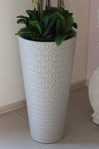 bardzo duży storczyk w beżowo - szarej donicy, Taupe Grande, wys.144cm