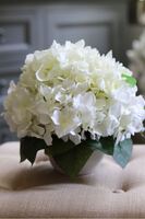 Kelona, kompozycja z hortensji / bukiet w białym naczyniu, wym.25x25cm