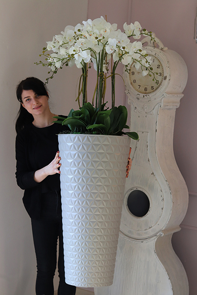 bardzo duży storczyk w beżowo - szarej donicy, Taupe Grande, wys.144cm