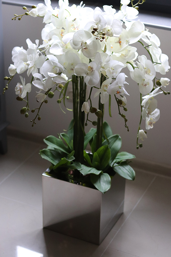 atrakcyjny storczyk w stalowej, lustrzanej donicy, Moderno Mirror Cube, wys.90cm