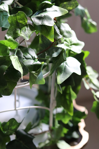 kompozycja klatka z bluszczem, Gardenia, wys.39cm 