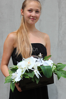 Deko Storczyk kompozycja kwiatowa w w ceramicznym naczyniu z lustrzanymi kulami dł.40cm