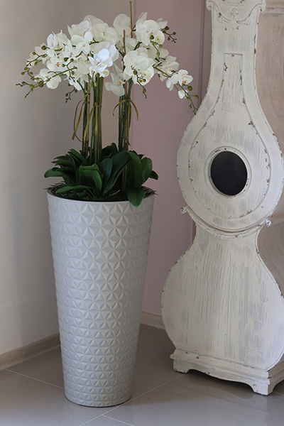 bardzo duży storczyk w beżowo - szarej donicy, Taupe Grande, wys.144cm