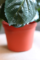 doniczkowa hortensja Ciemnozielona, wysokiej jakości sztuczne kwiaty, wys.40cm