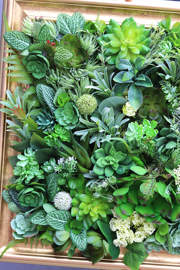 efektowna jednostronna rama Sukulenty wym.50x60cm