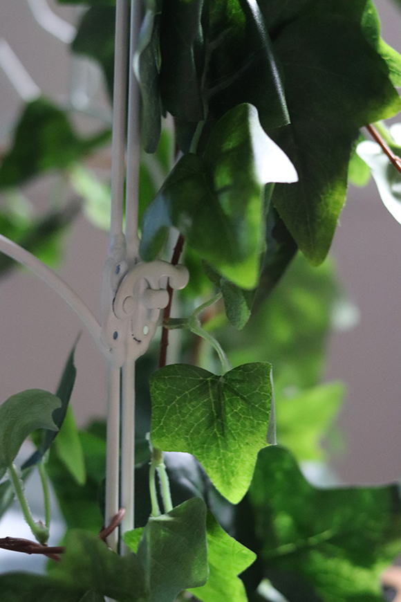 kompozycja klatka z bluszczem, Gardenia, wys.39cm 