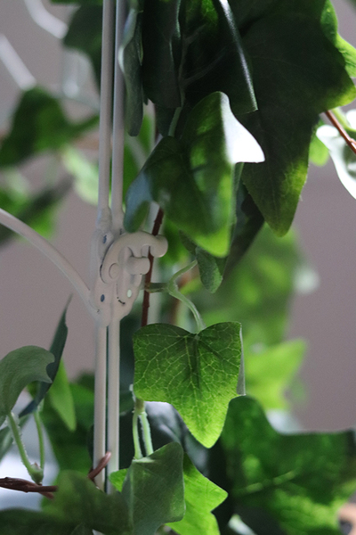 kompozycja klatka z bluszczem, Gardenia, wys.39cm 