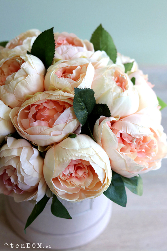 Salado, welurowy flowerbox z peoniami, wys.27cm