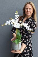 Gelona, storczyk w szarej donicy, wys.63cm 