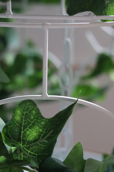 kompozycja klatka z bluszczem, Gardenia, wys.39cm 