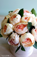 Salado, welurowy flowerbox z peoniami, wys.27cm