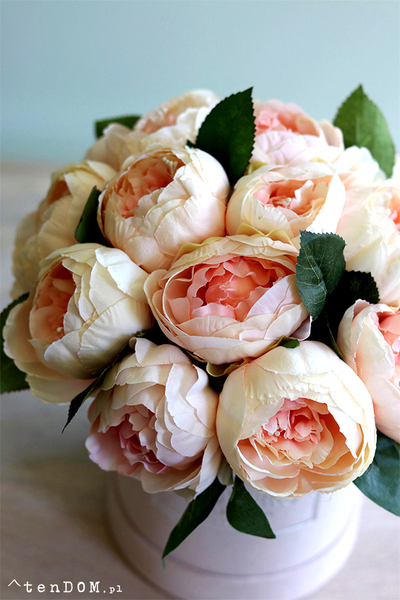 Salado, welurowy flowerbox z peoniami, wys.27cm