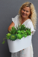 Fegia Delta, minimalistyczna kompozycja z sukulentów w eleganckiej donicy, wym.27x40cm