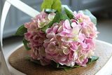 bukiet hortensji na piku, lila-krem, 5szt. dł.44cm