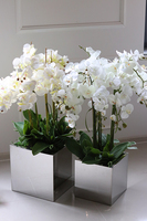 atrakcyjny storczyk w stalowej, lustrzanej donicy, Moderno Mirror Cube, wys.90cm