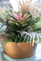 duża kompozycja Sukulenty Pinko Malaga w złotej ceramicznej misie, wys.35cm