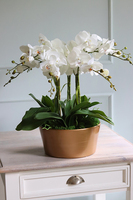 bardzo elegancki storczyk w złotej donicy, Humberto Malaga, wys.52cm